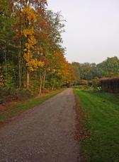 Herbststimmung-23-10-09 051.jpg